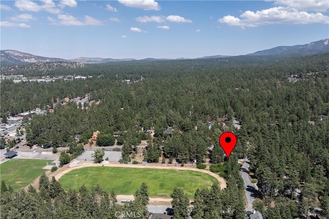 41318 Oak St, Big Bear Lake, CA 92315 - photo 30