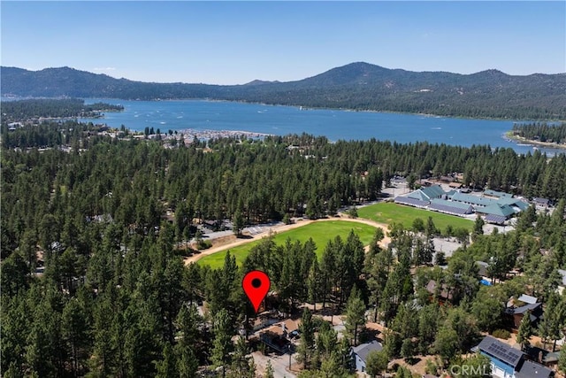41318 Oak St, Big Bear Lake, CA 92315 - photo 52