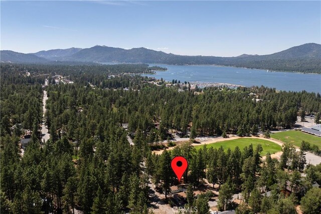 41318 Oak St, Big Bear Lake, CA 92315 - photo 5