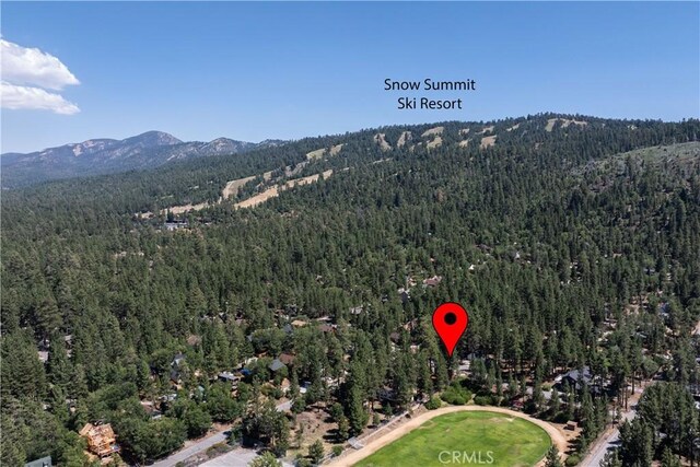 41318 Oak St, Big Bear Lake, CA 92315 - photo 46