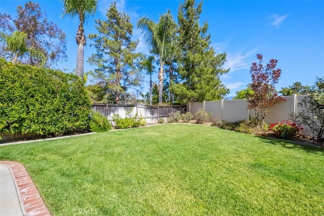 32295 Via Arias, Temecula, CA 92592 - view of yard