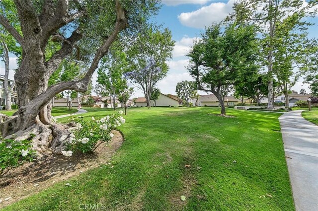 11390 Nantucket Ct, Cypress, CA 90630 - photo 34