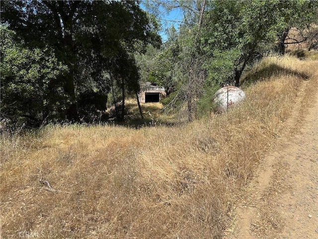 11650 N Dr, Clearlake, CA 95422 - photo 9