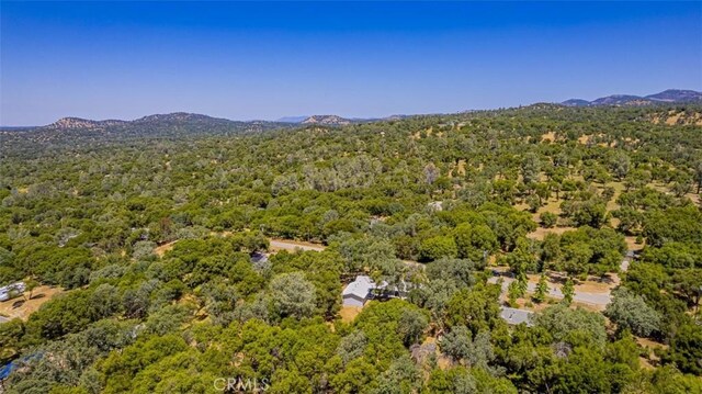 47200 Oneida Ave, Coarsegold, CA 93614 - photo 37
