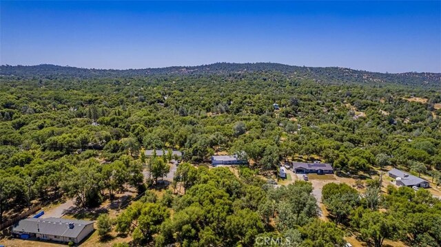 47200 Oneida Ave, Coarsegold, CA 93614 - photo 36