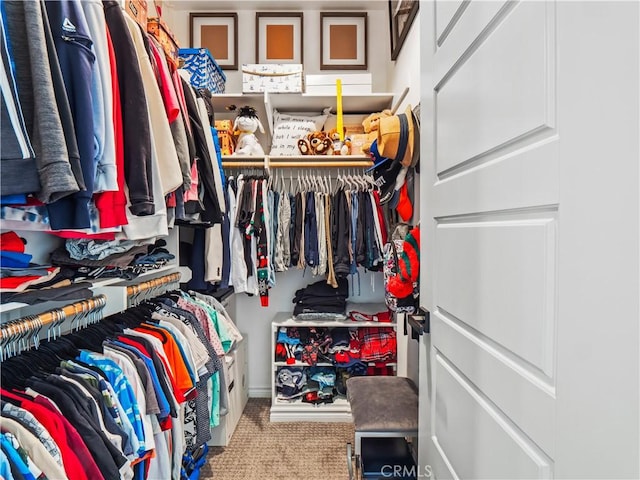 22385 Midtown Ct, Saugus, CA 91350 - spacious closet with carpet flooring