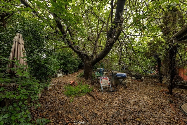 13397 Robin Ct, Yucaipa, CA 92399 - view of yard