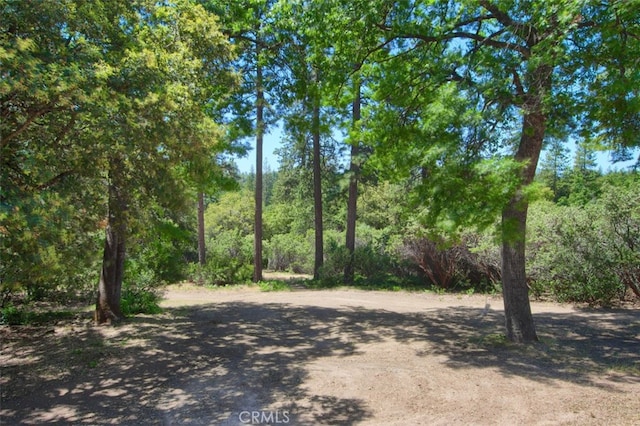 2843 E Westfall Rd, Mariposa, CA 95338 - view of street featuring a wooded view