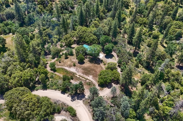 2843 E Westfall Rd, Mariposa, CA 95338 - aerial view of property's location featuring a forest