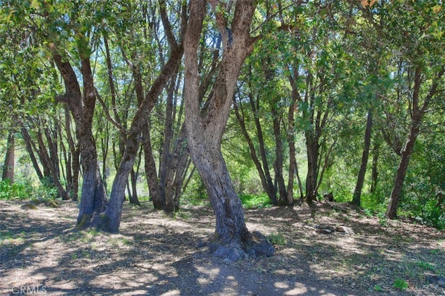 2843 E Westfall Rd, Mariposa, CA 95338 - view of local wilderness