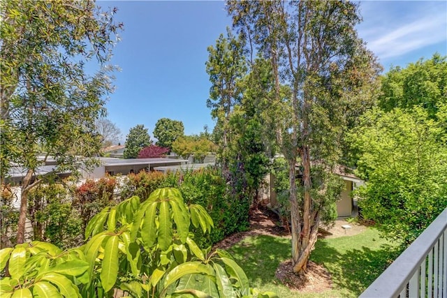 259 Calle Aragon Unit A, Laguna Woods, CA 92637 - view of yard