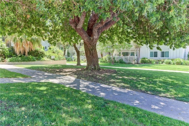 259 Calle Aragon Unit A, Laguna Woods, CA 92637 - view of property's community featuring a yard
