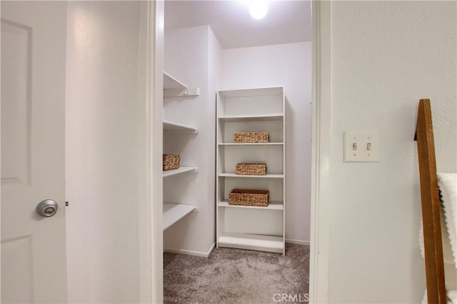 5303 State Highway 49 N Unit 14, Mariposa, CA 95338 - walk in closet with carpet floors