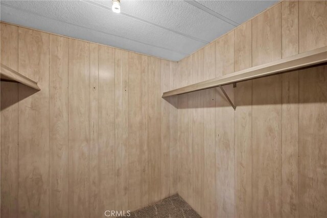 15993 27th Ave, Clearlake, CA 95422 - spacious closet with carpet floors