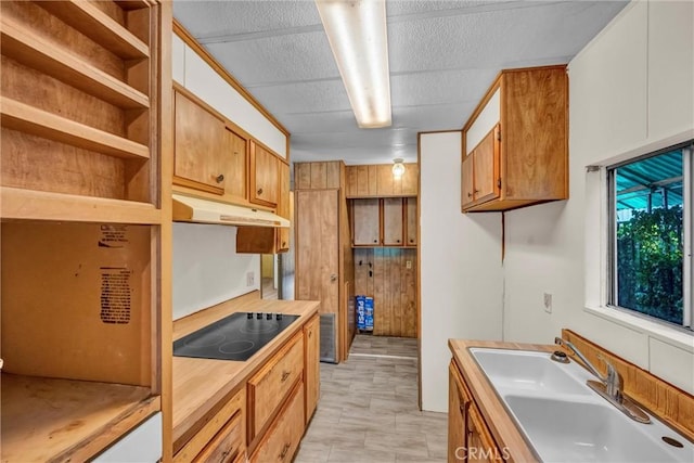 15993 27th Ave, Clearlake, CA 95422 - kitchen featuring under cabinet range hood, black electric stovetop, a sink, open shelves, and light countertops