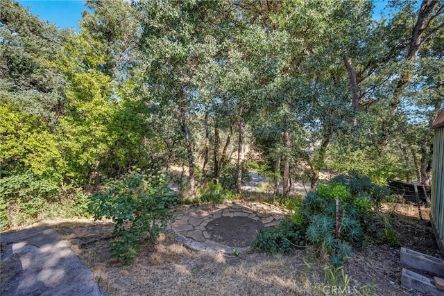 15993 27th Ave, Clearlake, CA 95422 - view of yard
