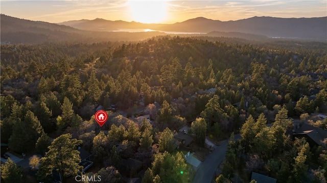 1720 Cascade Rd, Big Bear City, CA 92314 - photo 2