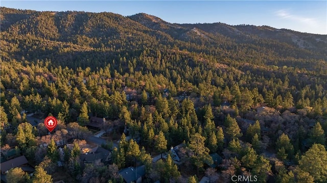1720 Cascade Rd, Big Bear City, CA 92314 - photo 28