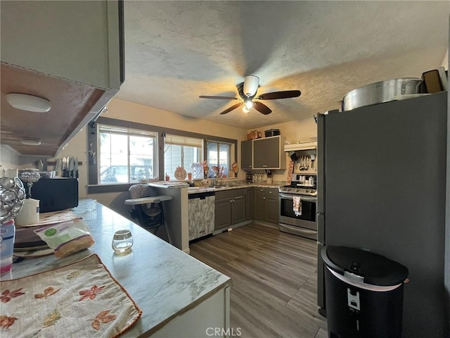 611615 E Acacia Ave, Glendale, CA 91205 - kitchen with stainless steel appliances, gray cabinetry, a ceiling fan, light countertops, and dark wood finished floors