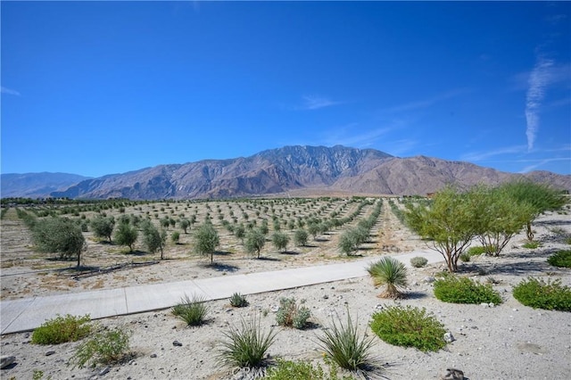 4365 Rambler Ln, Palm Springs, CA 92262 - photo 31
