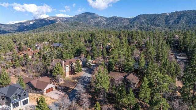 1618 Tuolumne Rd, Big Bear City, CA 92314 - photo 38