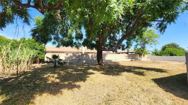 2045 S Cypress Ave, Ontario, CA 91762 - view of yard