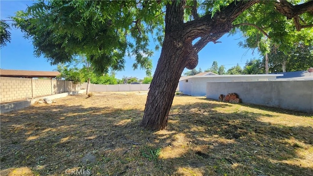 2045 S Cypress Ave, Ontario, CA 91762 - view of fenced backyard