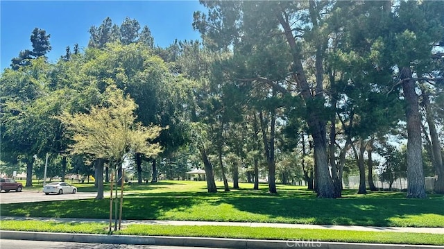 2045 S Cypress Ave, Ontario, CA 91762 - view of home's community with a lawn