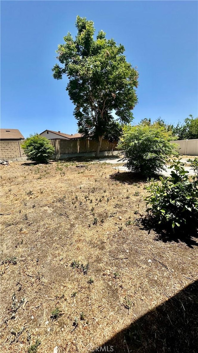 2045 S Cypress Ave, Ontario, CA 91762 - view of yard