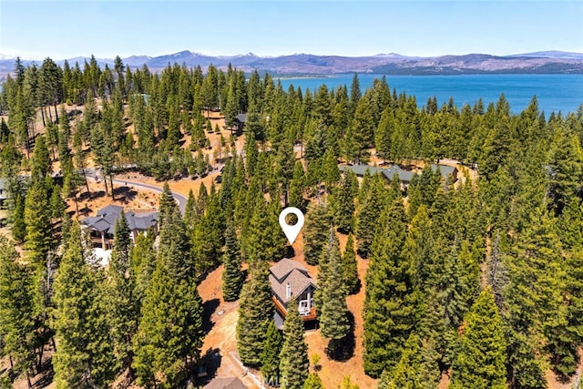 120 Top Of The W Dr, Chester, CA 96020 - bird's eye view of a mountain backdrop and a forest