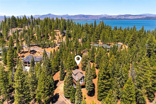 120 Top Of The W Dr, Chester, CA 96020 - photo 43