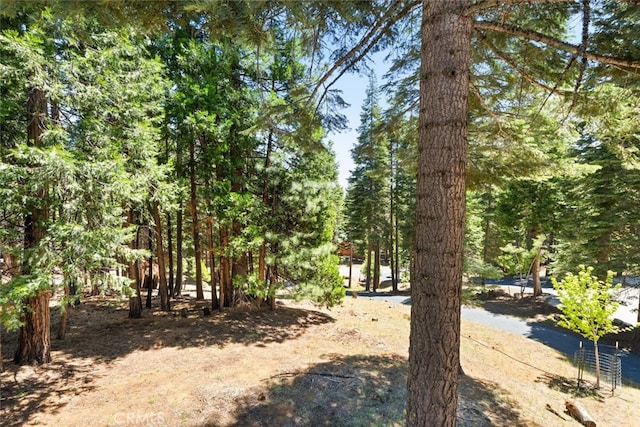 120 Top Of The W Dr, Chester, CA 96020 - view of yard