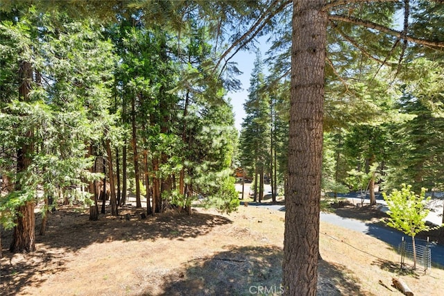 120 Top Of The W Dr, Chester, CA 96020 - photo 38