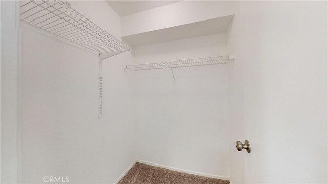 24420 Flaxwood Ln Unit 204, Newhall, CA 91321 - spacious closet with carpet