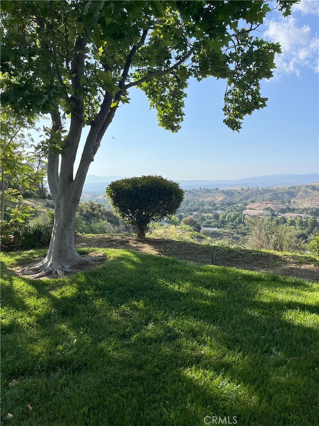 24420 Flaxwood Ln Unit 204, Newhall, CA 91321 - view of grassy yard
