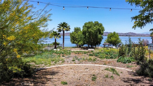 17300 Grand Ave, Lake Elsinore, CA 92530 - photo 34