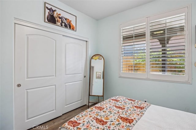 255 Waterfall Rd, Templeton, CA 93465 - bedroom featuring wood finished floors and a closet