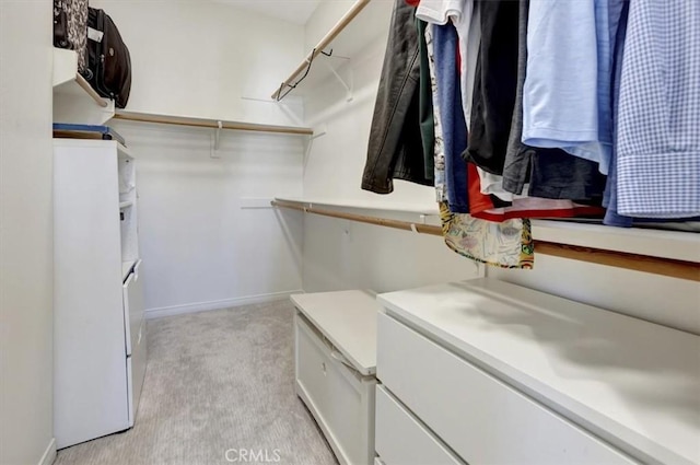 19 Laurelhurst Dr, Ladera Ranch, CA 92694 - spacious closet with light carpet