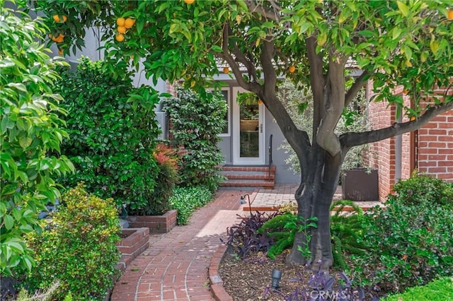 4275 Country Club Dr, Long Beach, CA 90807 - view of doorway to property