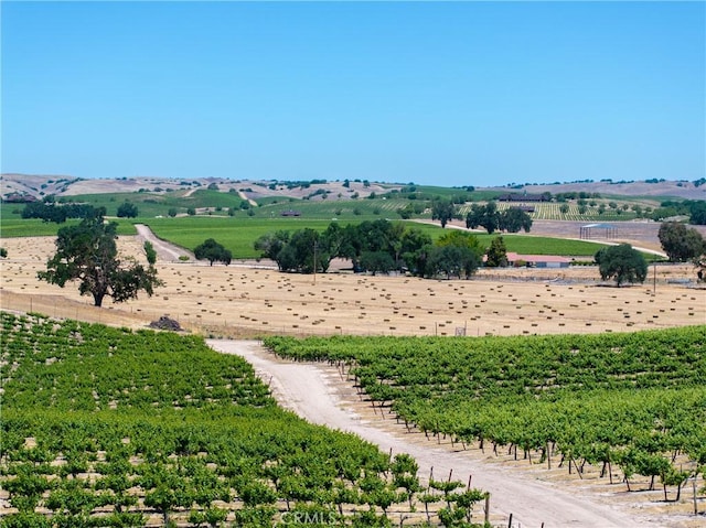 5275 Camp 8 Rd, Paso Robles, CA 93446 - photo 10
