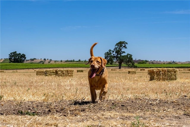 5275 Camp 8 Rd, Paso Robles, CA 93446 - photo 24