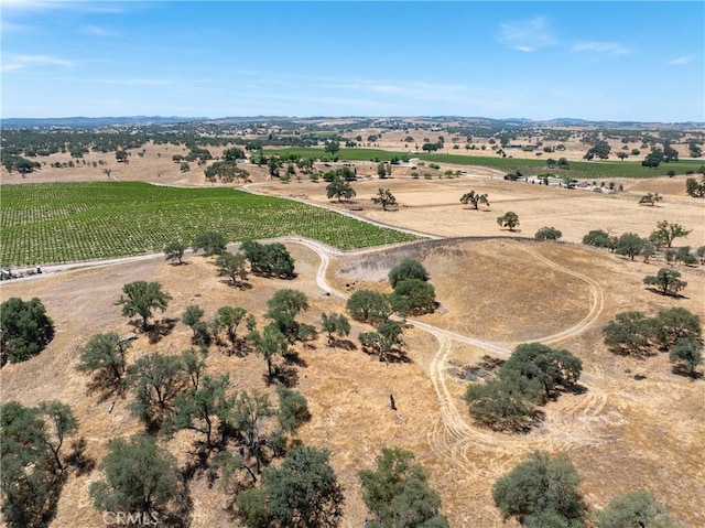 5275 Camp 8 Rd, Paso Robles, CA 93446 - photo 19