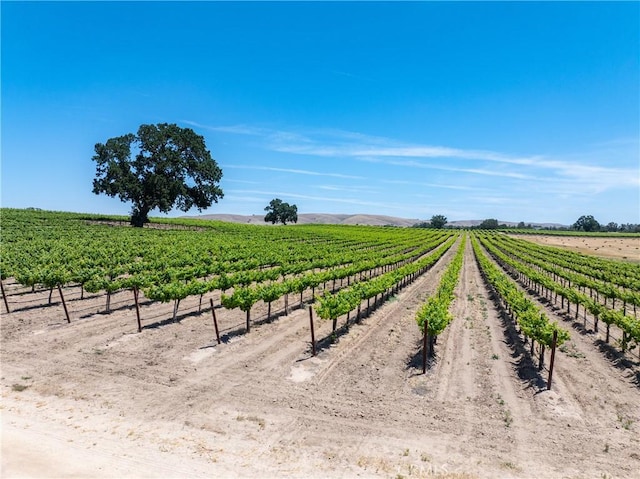 5275 Camp 8 Rd, Paso Robles, CA 93446 - photo 26