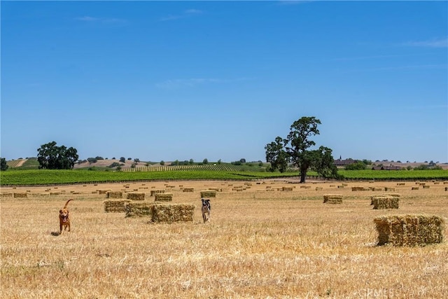 5275 Camp 8 Rd, Paso Robles, CA 93446 - photo 5