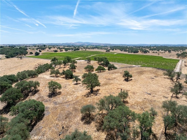 5275 Camp 8 Rd, Paso Robles, CA 93446 - photo 12