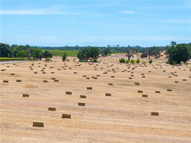 5275 Camp 8 Rd, Paso Robles, CA 93446 - photo 23