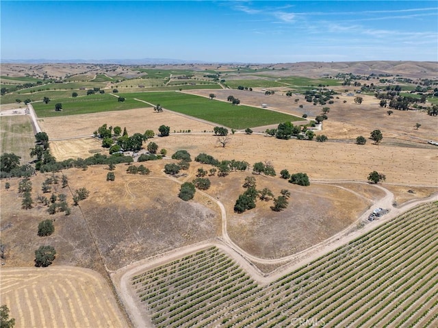 5275 Camp 8 Rd, Paso Robles, CA 93446 - photo 11
