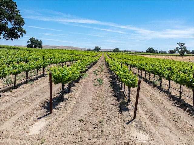 5275 Camp 8 Rd, Paso Robles, CA 93446 - photo 27