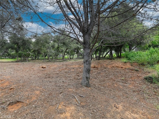 3218 Skyline Dr, Kelseyville, CA 95451 - photo 4