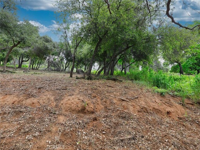 3218 Skyline Dr, Kelseyville, CA 95451 - photo 9